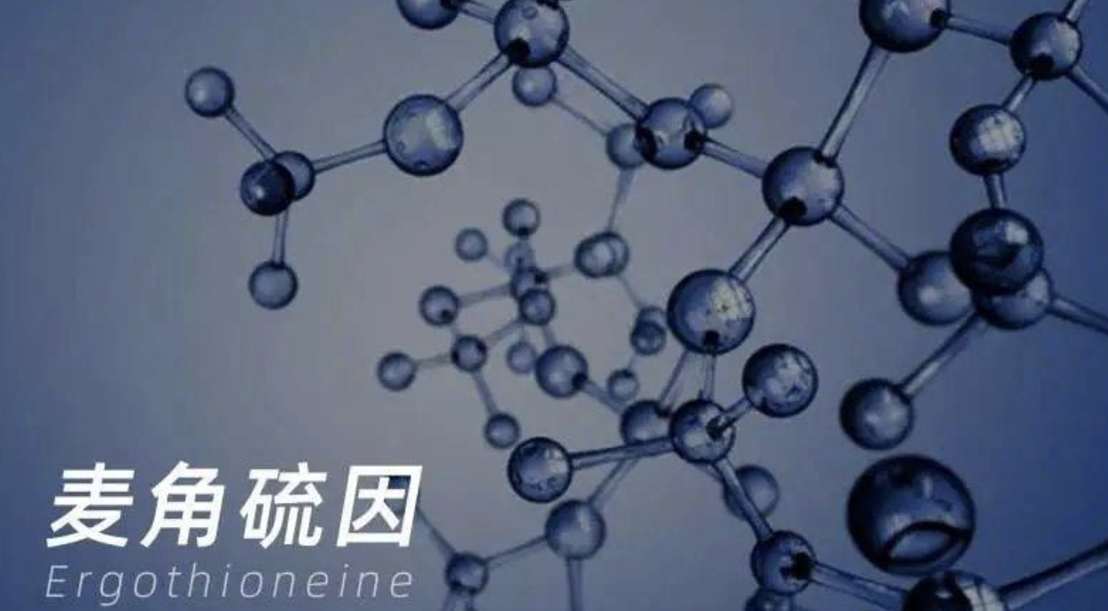 麦角硫因走红背后，是什么驱动增长？哪些企业已抢先占位？