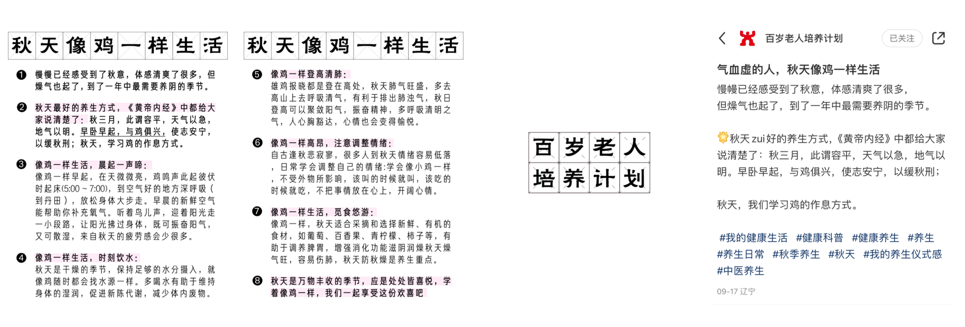 不露脸的养生博主们，正在小红书闷声赚钱