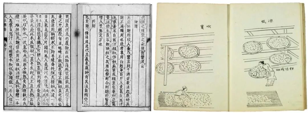 已致4死，日本的红曲保健品怎么回事？